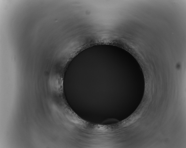 X0000089350624200706221140