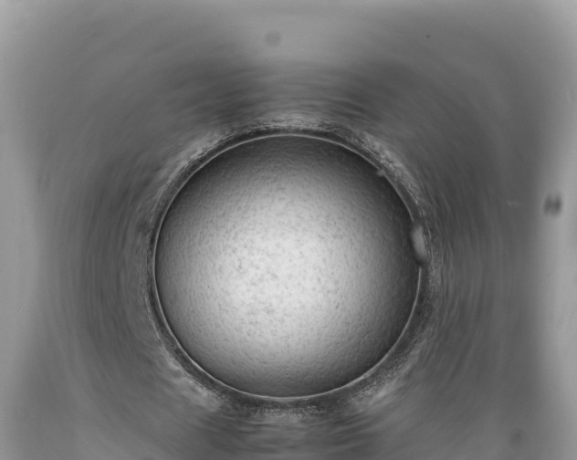 X0000089350625200706221139