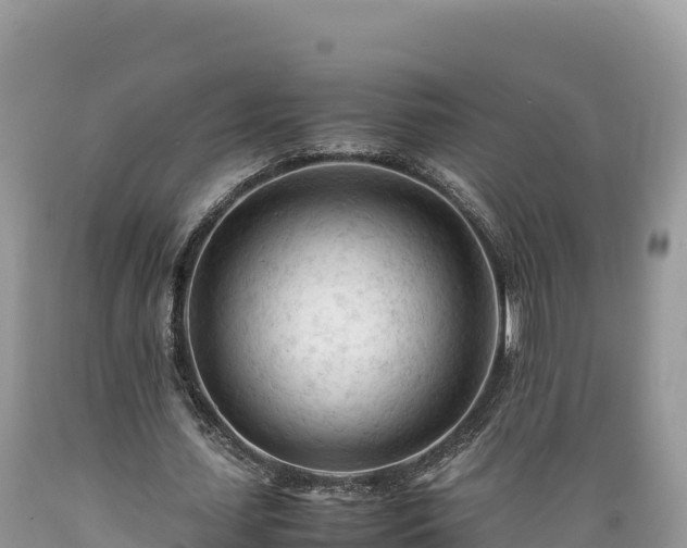 X0000089350627200706221139