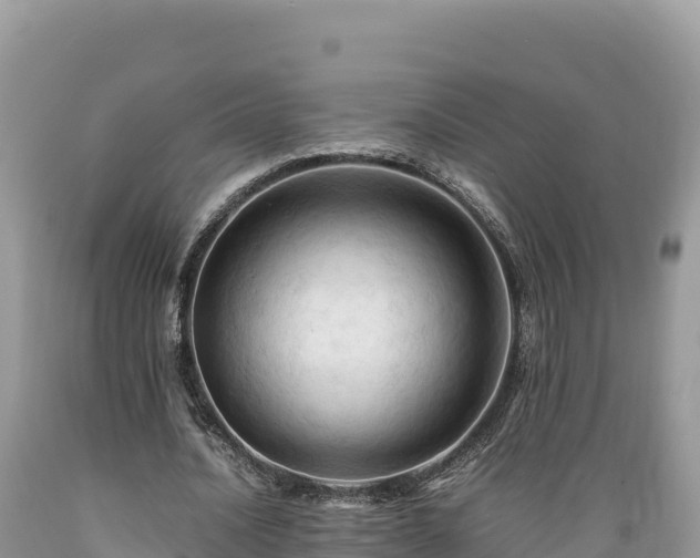 X0000089350628200706221139
