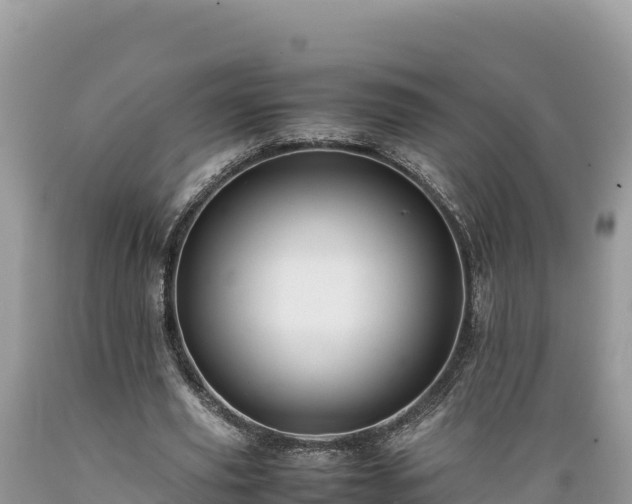 X0000089350629200706221139