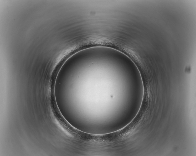 X0000089350630200706221139