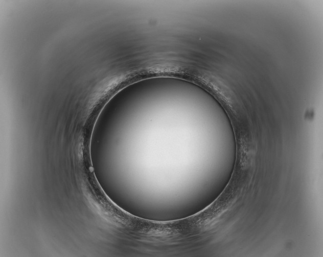 X0000089350631200706221139