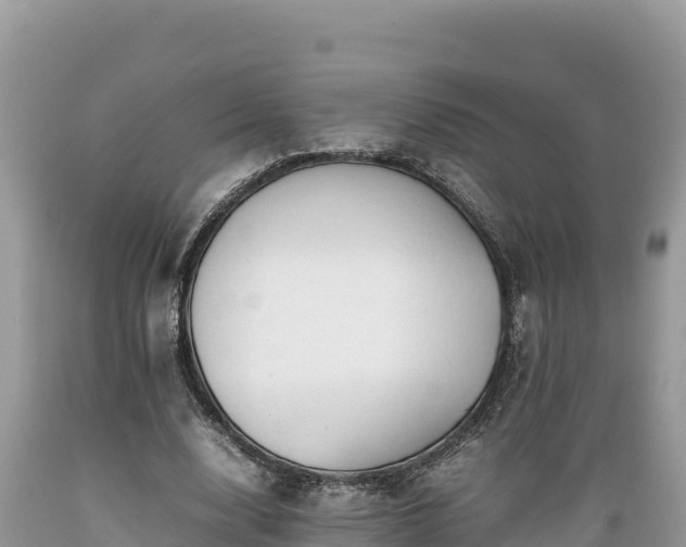 X0000089350632200706221139