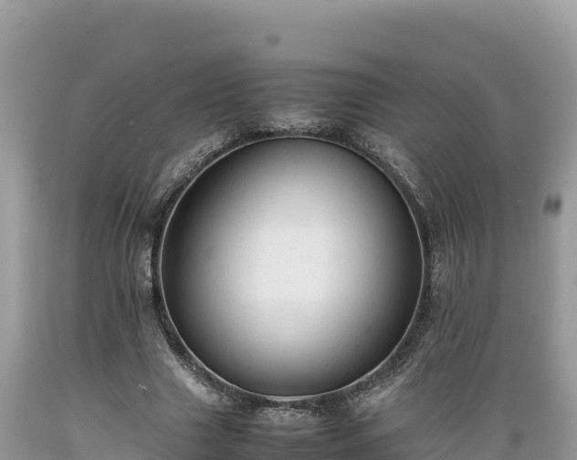 X0000089350633200706221139