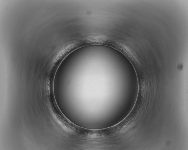 X0000089350634200706221139