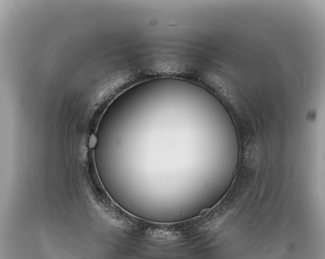 X0000089350635200706221139
