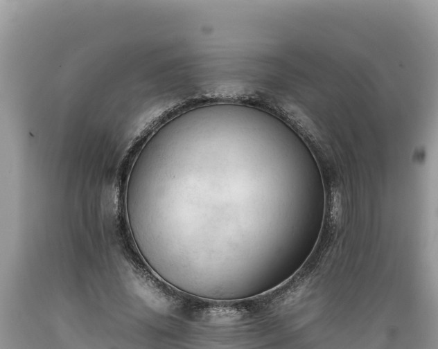 X0000089350636200706221139
