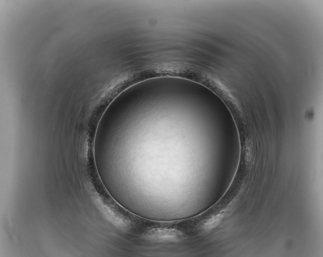 X0000089350637200706221139
