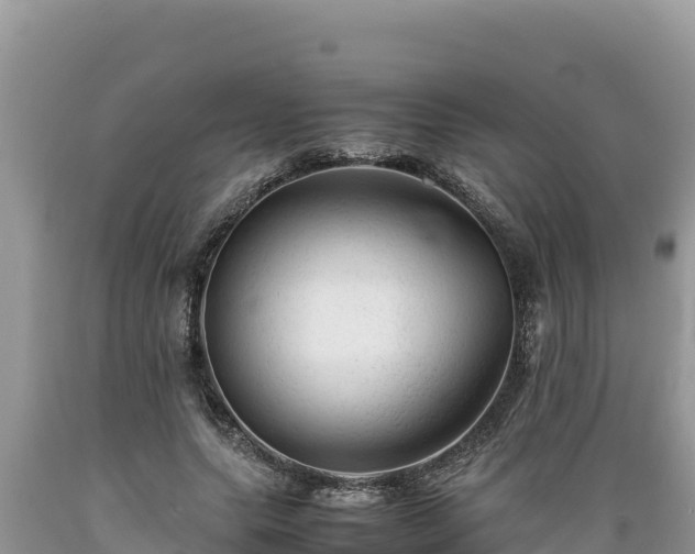 X0000089350639200706221139