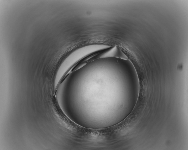 X0000089350641200706221139