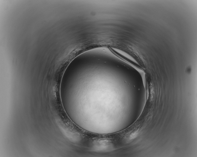 X0000089350643200706221139
