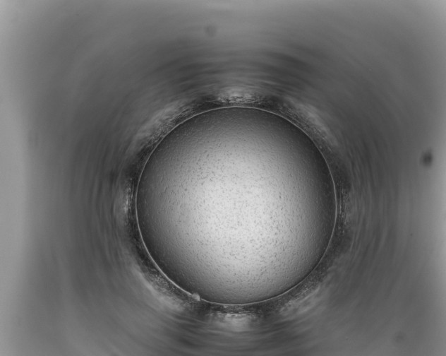 X0000089350645200706221139