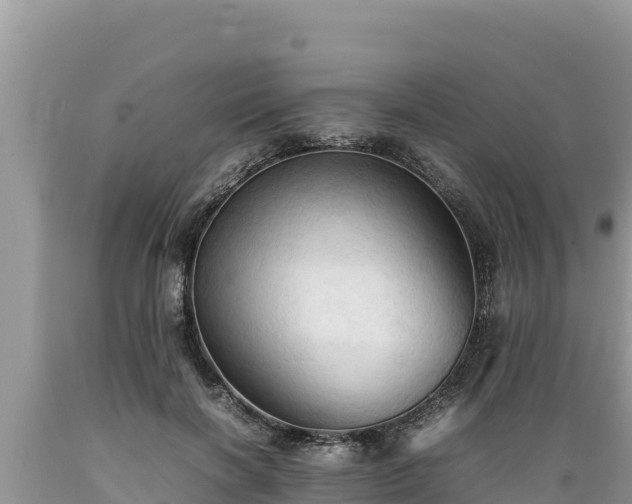 X0000089350646200706221139