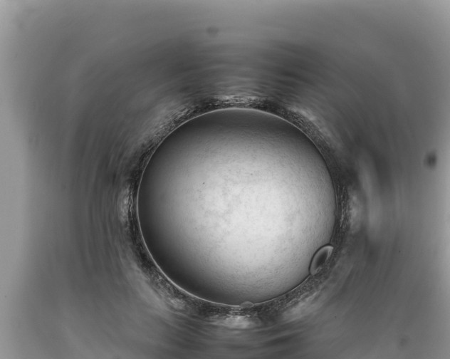 X0000089350647200706221139