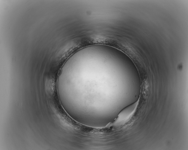 X0000089350648200706221139