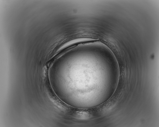 X0000089350649200706221139