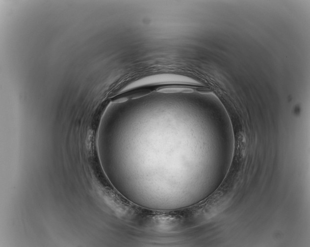 X0000089350650200706221139