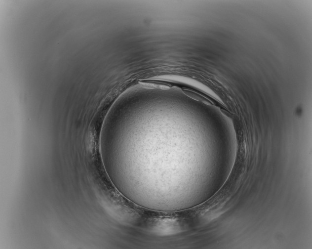 X0000089350651200706221139