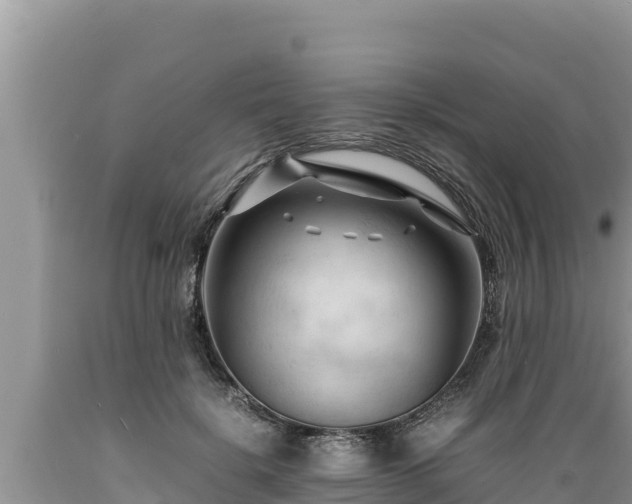 X0000089350652200706221139