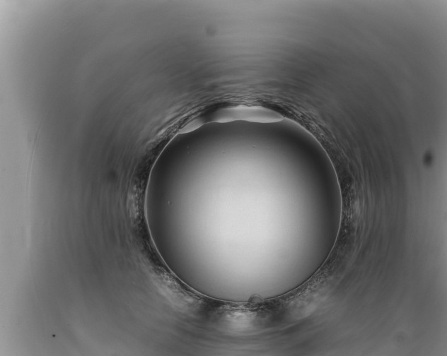 X0000089350658200706221140