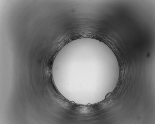 X0000089350663200706221140
