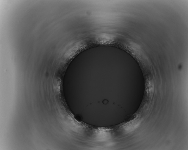 X0000089350664200706221140