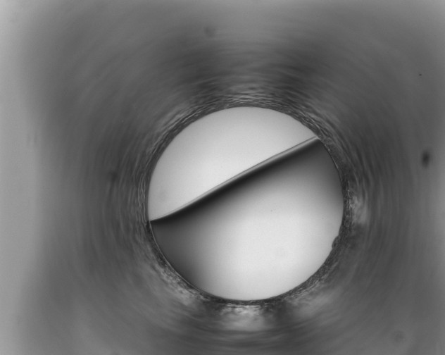X0000089350665200706221140