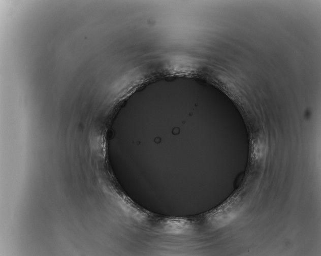 X0000089350666200706221140