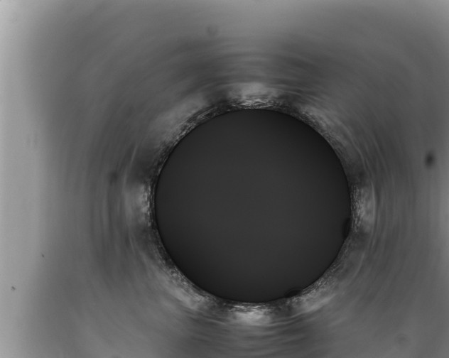X0000089350667200706221140
