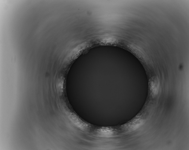 X0000089350668200706221140