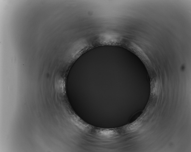 X0000089350669200706221140