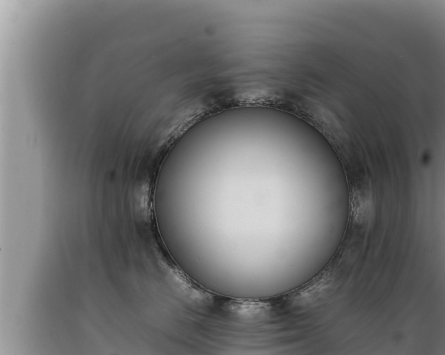 X0000089350670200706221140