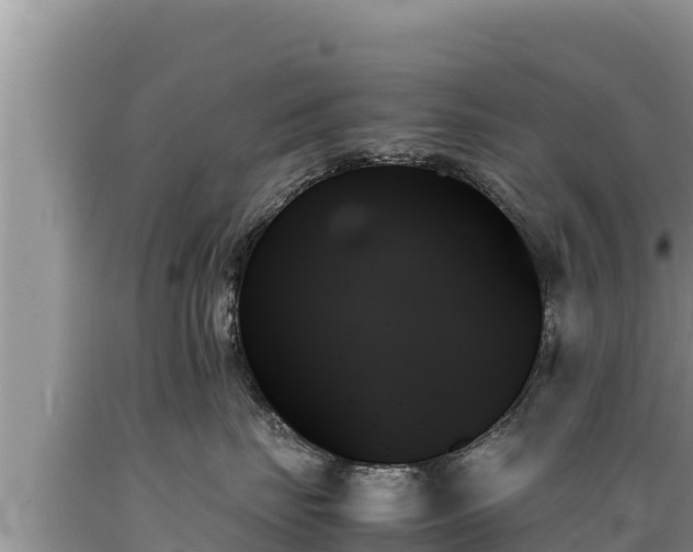 X0000089350671200706221140