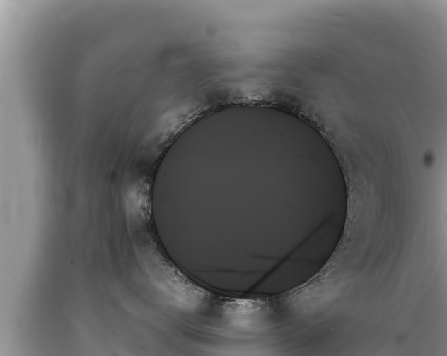 X0000089350672200706221140