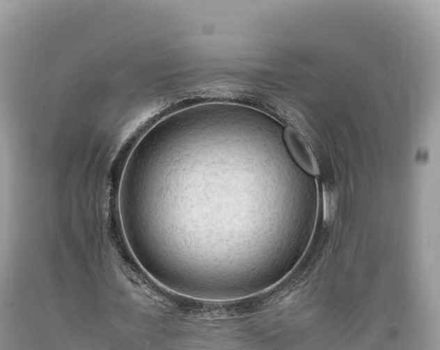 X0000089350675200706221139