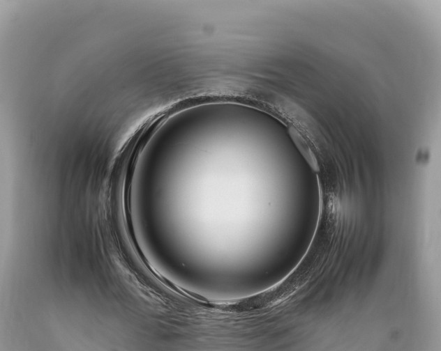 X0000089350676200706221139
