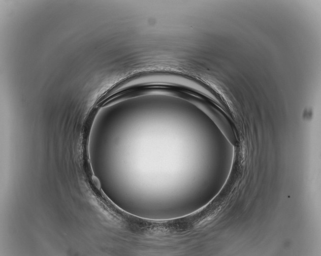 X0000089350677200706221139
