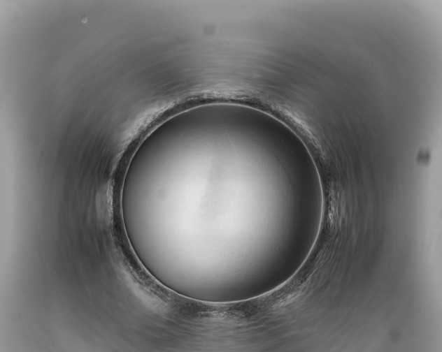 X0000089350678200706221139