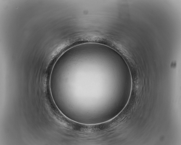 X0000089350679200706221139