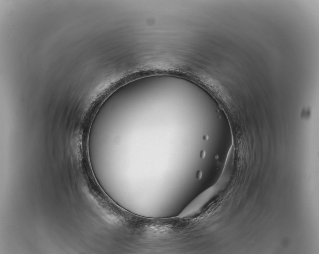 X0000089350680200706221139
