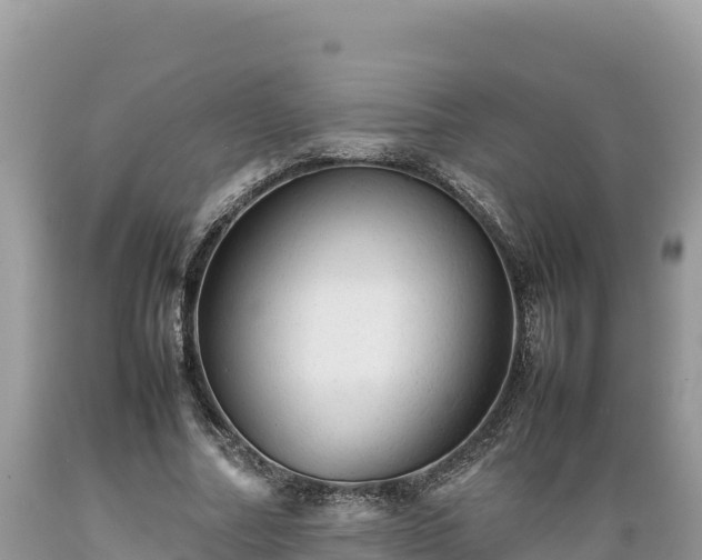 X0000089350682200706221139