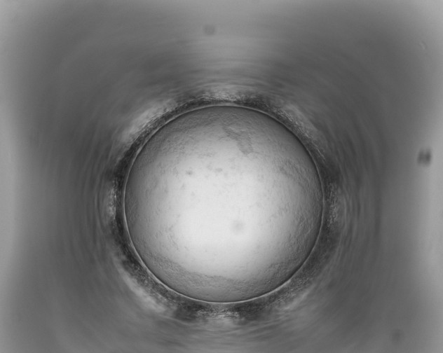 X0000089350683200706221139