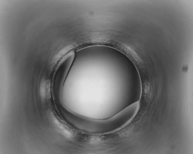 X0000089350684200706221139