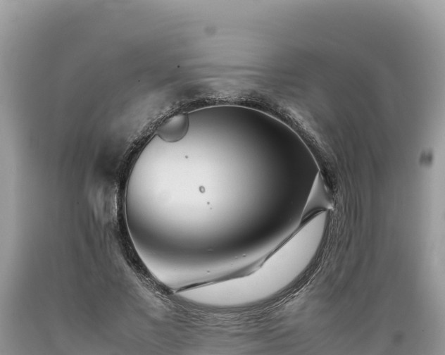 X0000089350685200706221139