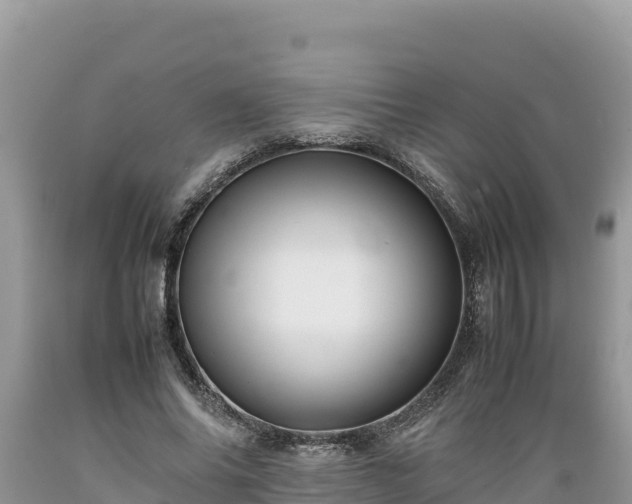 X0000089350686200706221139