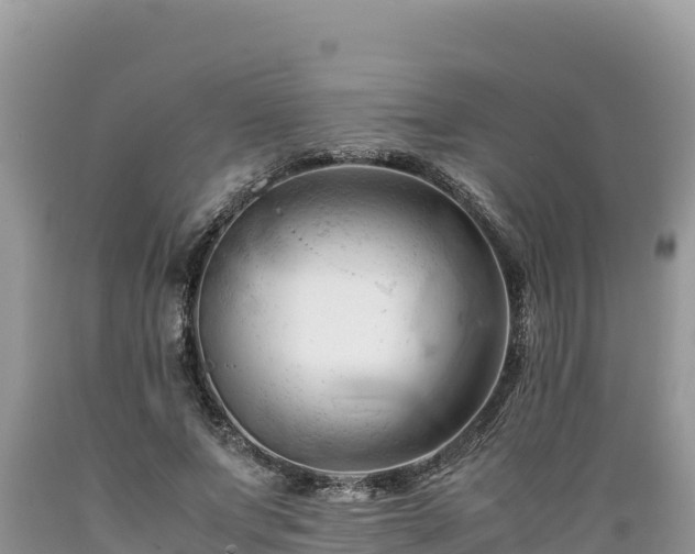 X0000089350687200706221139