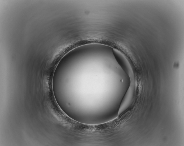 X0000089350688200706221139