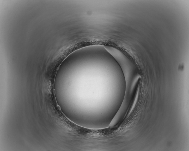 X0000089350689200706221139