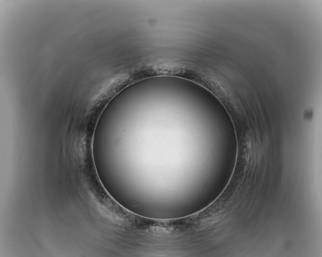 X0000089350690200706221139